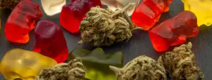 Are Medical Edibles the Future of Medicinal Cannabis