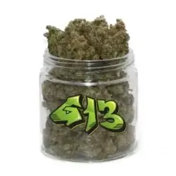 G13