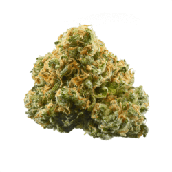 Pineaple Express Strain