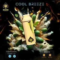 Cool Breeze 2g Mini Disposable