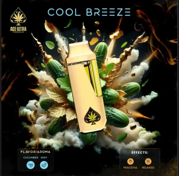 Cool Breeze 2g Mini Disposable