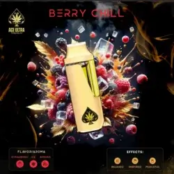 Berry Chill 2g Mini Disposable