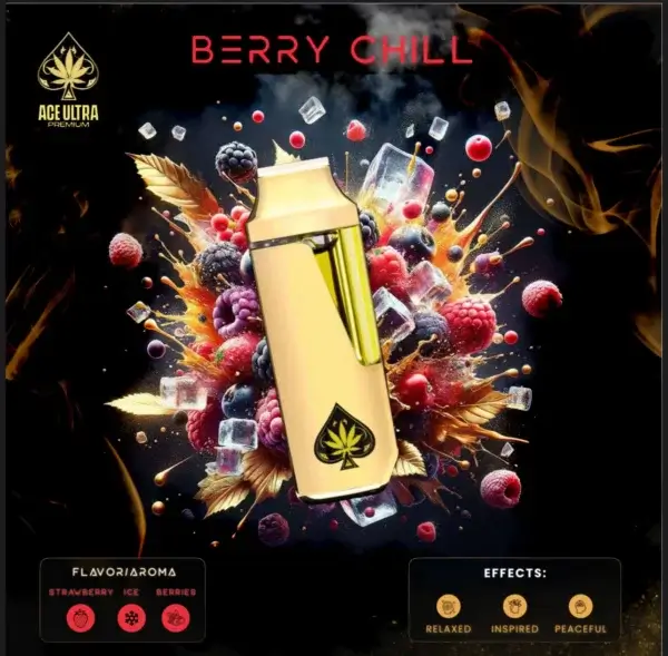 Berry Chill 2g Mini Disposable