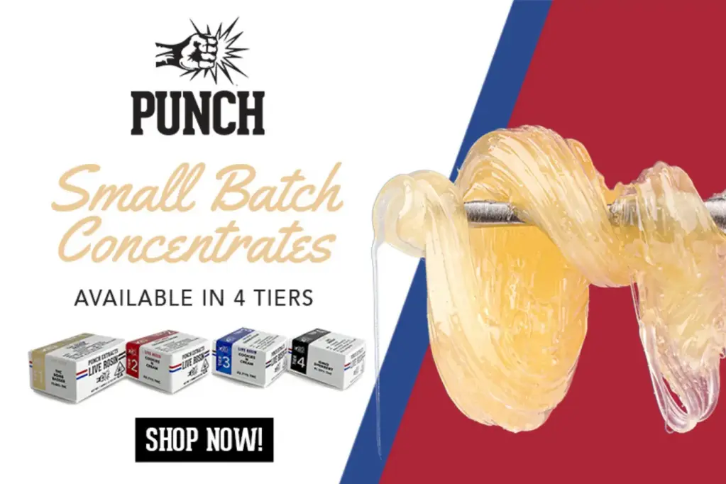 Benefits of Punch Extracts