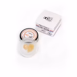 Papaya Apple Cider Live Rosin