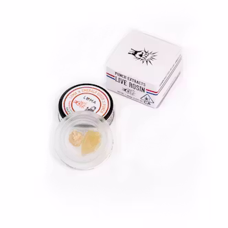 Papaya Apple Cider Live Rosin